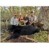 Image 3 : 3 Day Michigan Upper Peninsula Black Bear/Hound Hunt by Blue Plague Guide Service