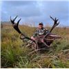 Image 1 : Free Range Red Stag and Sika Stag or Fallow Buck from Rock House Sporting Estate