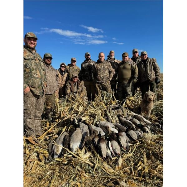 NORTH DAKOTA WATERFOWL HUNT   Cold Water Outfitters