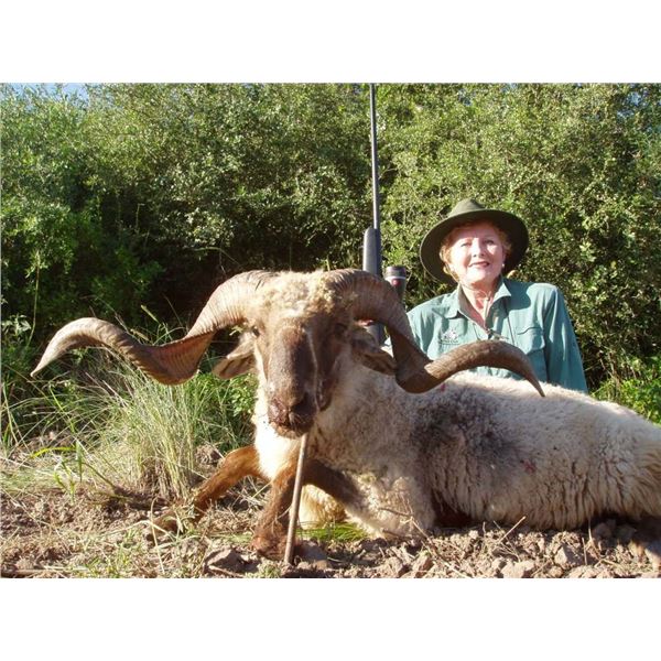 7-day Argentina Big Game Hunt for Two Hunters -Includes Six Trophies at Anuritay Game Ranch