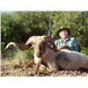 Image 1 : 7-day Argentina Big Game Hunt for Two Hunters -Includes Six Trophies at Anuritay Game Ranch