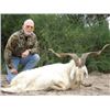 Image 2 : 7-day Argentina Big Game Hunt for Two Hunters -Includes Six Trophies at Anuritay Game Ranch