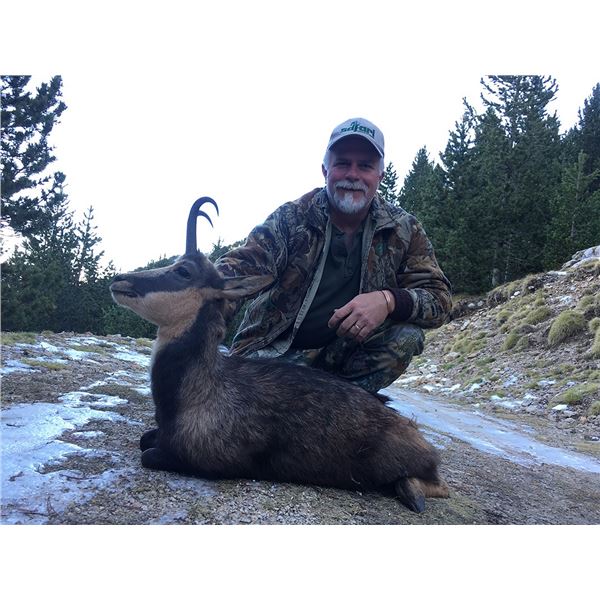 Cantabrian Chamois for One Hunter from Safari Outfitters