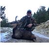 Image 1 : Cantabrian Chamois for One Hunter from Safari Outfitters