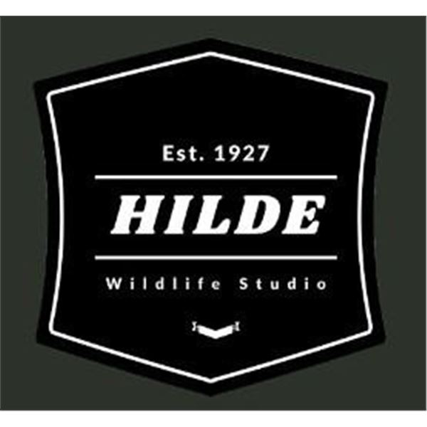 $1,000 African Safari Animal Taxidermy Credit from Hilde Wildlife Studio