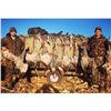 Image 1 : Texas Sandhill Crane Hunt Safari Unlimited