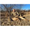 Image 1 : MEXICAN COUES DEER HUNT FOR TWO HUNTERS from Safari Unlimited