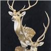Image 3 : Creative Concepts Taxidermy Credit