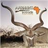 Image 3 : 10-Day Namibian Safari for Two Hunters & Two Guests
