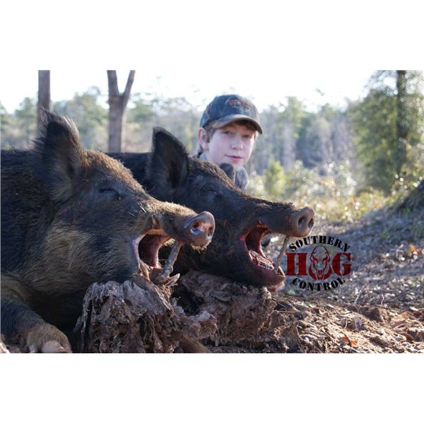 Three Hunters. Two Nights. Unlimited Hogs.