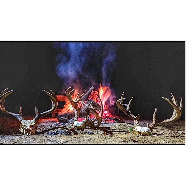 Arizona Archery Coues Deer for Two