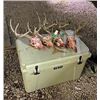 Image 3 : Arizona Archery Coues Deer for Two