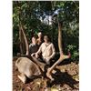Image 8 : Rusa Deer in Beautiful Mauritius