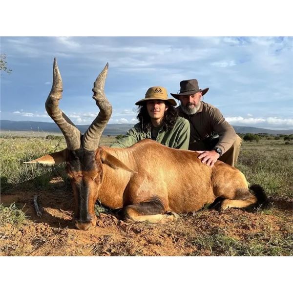 South African Safari for Up to Eight