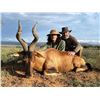Image 1 : South African Safari for Up to Eight