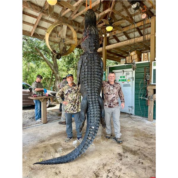 Three Day Florida Alligator Hunt and Inshore Saltwater Fishing