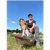 Image 3 : Three Day Florida Alligator Hunt and Inshore Saltwater Fishing