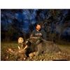 Image 9 : Three Day Florida Alligator Hunt and Inshore Saltwater Fishing