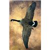 Image 1 : Artistic Goose Taxidermy
