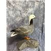 Image 2 : Artistic Goose Taxidermy