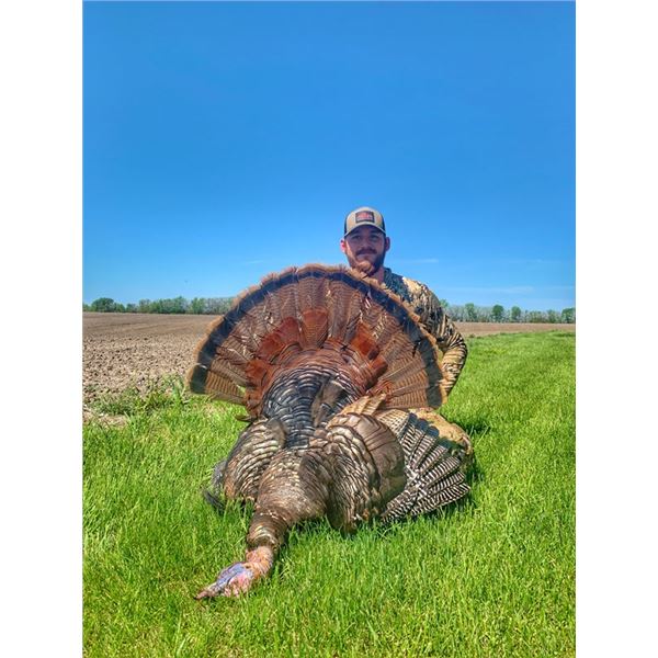 Iowa Eastern Wild Turkey Hunt