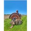 Image 1 : Iowa Eastern Wild Turkey Hunt