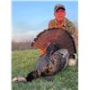 Image 2 : Iowa Eastern Wild Turkey Hunt