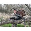 Image 5 : Iowa Eastern Wild Turkey Hunt