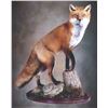 Image 6 : Nature’s Best Wildlife Artistry Taxidermy Credit