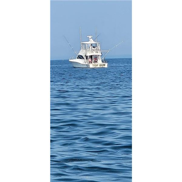 Brown Trout, Rainbow Trout and King Salmon on Lake Ontario