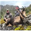 Image 1 : PYRENEAN CHAMOIS OUTSIDE OF BARCELONA