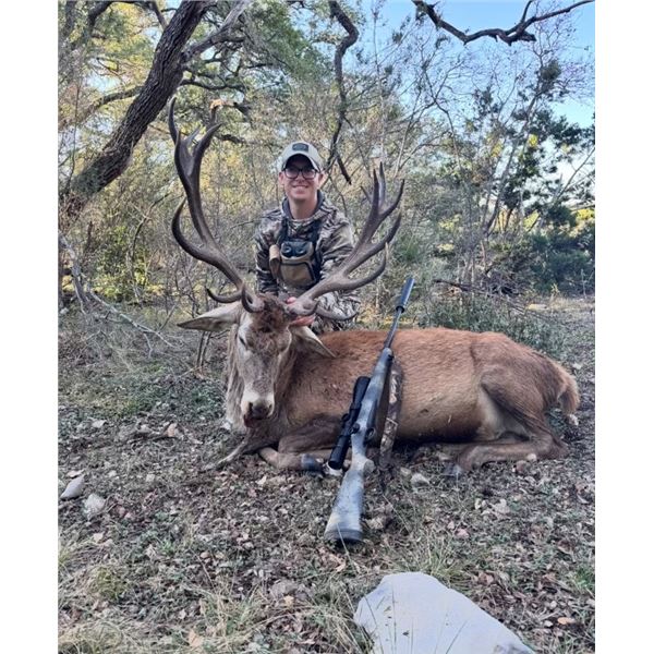 South Texas Hill Country “Super Exotic” Red Stag Bull Hunt
