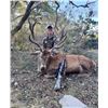 Image 1 : South Texas Hill Country “Super Exotic” Red Stag Bull Hunt