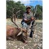 Image 2 : South Texas Hill Country “Super Exotic” Red Stag Bull Hunt