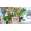 Image 1 : ASSORTED PLANTS IN POTS, TABLES & WATERING CAN