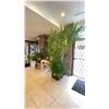 Image 2 : ASSORTED PLANTS IN POTS, TABLES & WATERING CAN