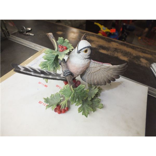 Long-tailed Titmouse By Lenox