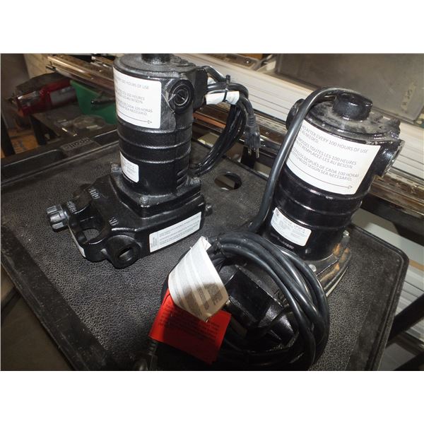 Two Sump Pumps