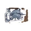 Image 2 : Triceratops Eurycephalus model kit