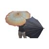 Image 3 : 4 vintage parasols