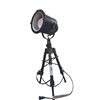 Image 1 : Decorator metal movie light 22" tall