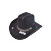 Image 1 : Vintage Lanning cowboy hat Medium
