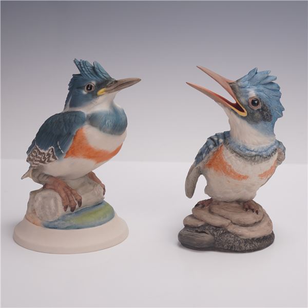 2pc Boehm Porcelain Figurines, Fledgling Kingfisher