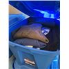 Image 2 : 18 Bins of Women's Assorted Clothing Items