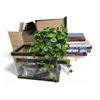 Image 1 : Mixed: Restaurant Trays, Adult Bibs, Golden Pothos Plant, Terrarium, Chalkboards, Coffee Table Books