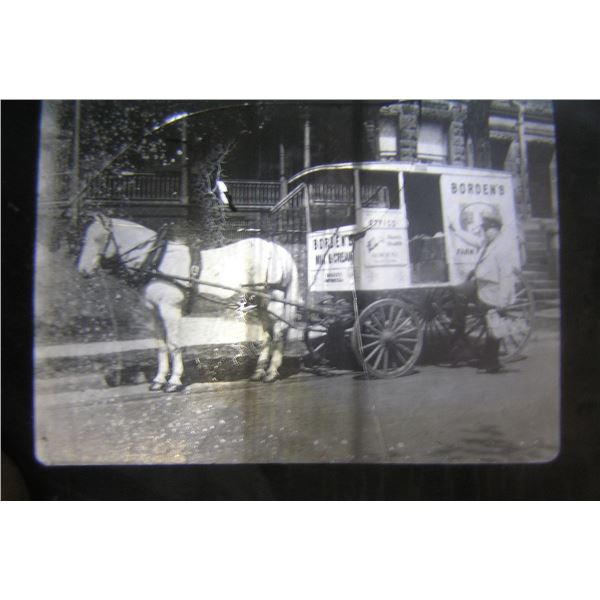 Borden Milk horse drawn wagon glass slide
