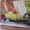 Image 10 : Box w/ Contents - Various Pictures, Indigineous Original Artwork +