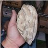 Image 7 : Box w/ Contents - Garden Decor, Unique Carved Stone