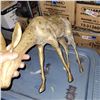 Image 3 : Very Tall Brasss Female Deer Statue