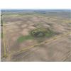 Image 5 : 281 +/- Acres of Pratt Co Dryland